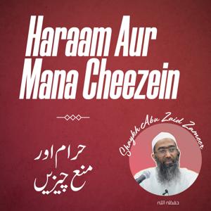 Haraam aur Mana Cheezein