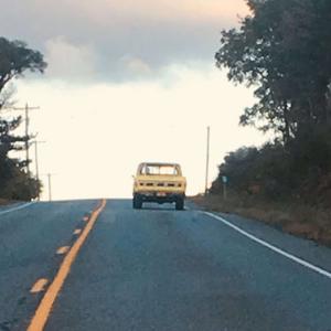 Along for the Ride with Molly and Daisy