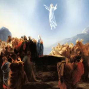 Witness of Resurrection