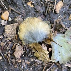 A Substitute for Friends