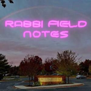 Rabbi Field Notes