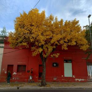 Podcast de las ciencias sociales