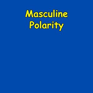 Masculine Polarity | Attraction & Leadership Daily