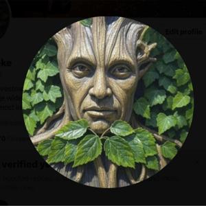 The Oak Bloke Investment Podcast