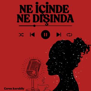 Ne İçinde Ne Dışında
