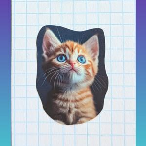 Warrior Cats mit Eichhornsee🐿️