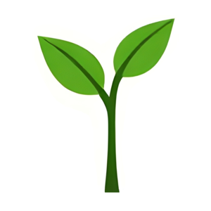 Little Seeds Big Fruit