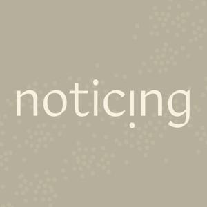 Noticing: A Podcast About Nothing & Everything At The Same Time