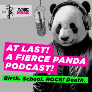 Birth. School. ROCK! Death. A Fierce Panda podcast