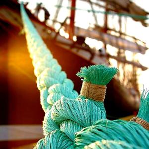 צֶדֶק ,Tzed'EK 🥑🥙