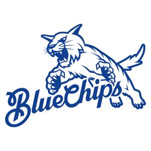 Blue Chips Media