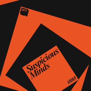 Suspicious Minds: AI and Psychosis