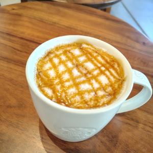 Explicando la Multimedia