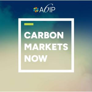 Carbon Markets Now