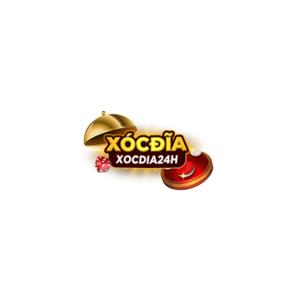 Xoc dia La Gi Cach Choi Xoc dia Chuan Nhat Cho Nguoi Moi