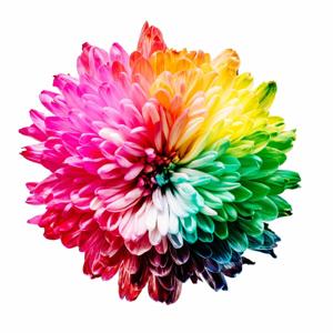 Viviendo a todo color con Nancy Bermúdez