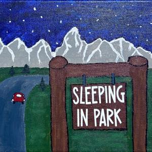 Sleeping In Park