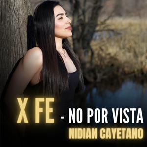 X FE - no por vista