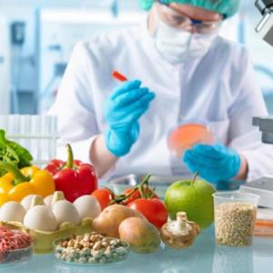 Biotecnología Alimentaria Fase 3