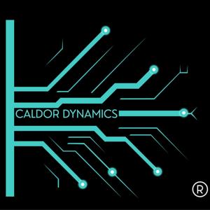 Scrappy to Scalable: Human centered AI that drives growth!