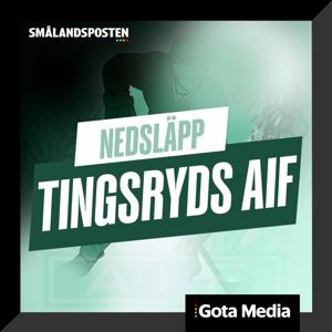 Nedsläpp Tingsryds AIF