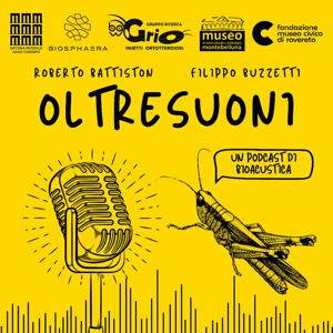 Oltresuoni