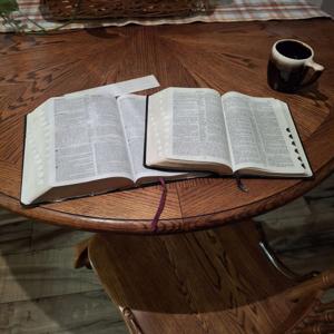 Rugged Truth: God’s Word, Plain