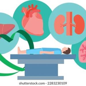 Decisiones que salvan vidas