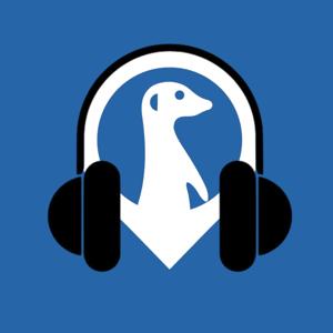 Le Terrier du Suricate