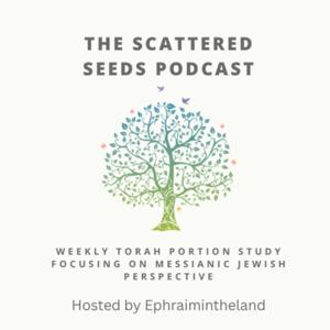 The Scattered Seeds