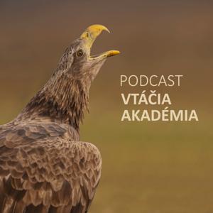 Vtáčia akadémia
