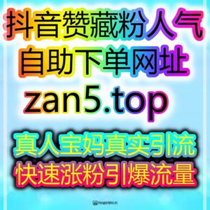 小红书粉丝增长策略AI模型自助下单买粉平台,实现长期稳定自然互动