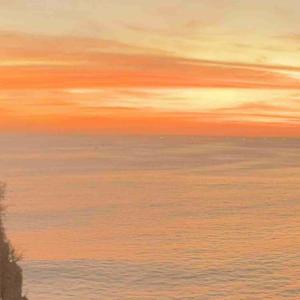 Globetrotting with Lynx