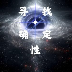 寻找确定性