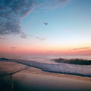 阿信和他的朋友们读的书