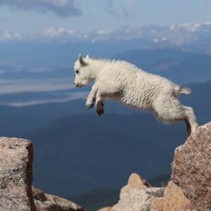 Are You Relentlessly Resilient?