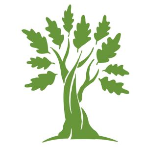Shaking the Tree: A Royal Oak Schools Podcast