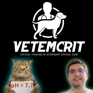 VetEmCrit: The Veterinary Emergency & Critical Care Podcast