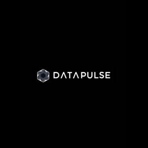 The DataPulse Podcast