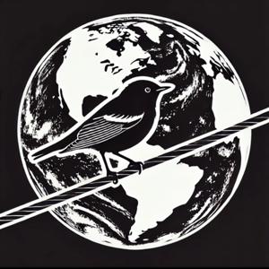 The Wired Warbler Travel Podcast