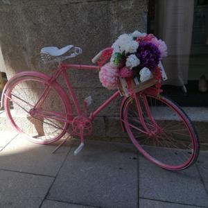 Nuestros tesoros: los cuentos.