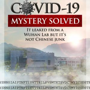 Reverse Engineering the Origins of SARS-CoV-2