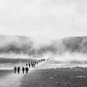 Ganadores y perdedores en la migración