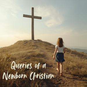 Queries of a Newborn Christian