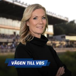 Vägen till V85