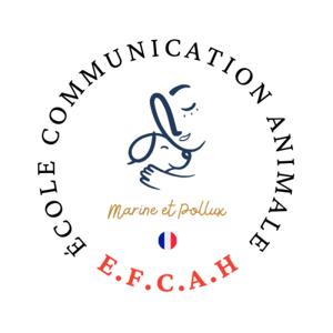 Dialogue Instinctif : le podcast pour tout savoir sur la communication animale