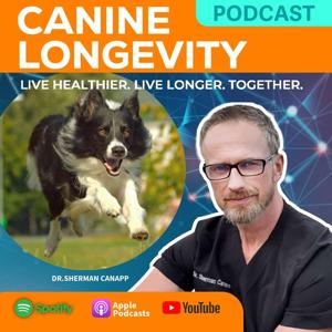 Canine Longevity