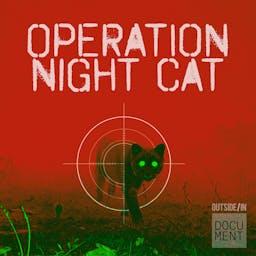 Operation Night Cat