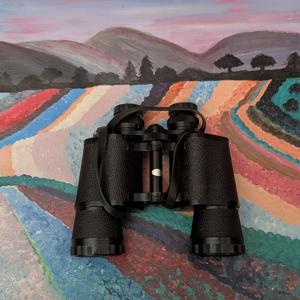 Eremittens Kikkert - Podcast Snacks