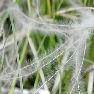 Demokratie-Infotheke